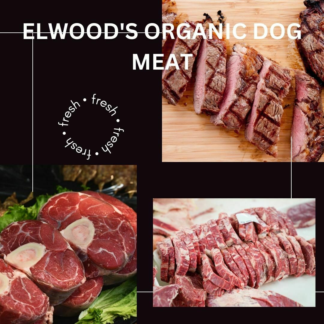 Debunking the Misconceptions The Truth about Elwood's Organic Dog Meat