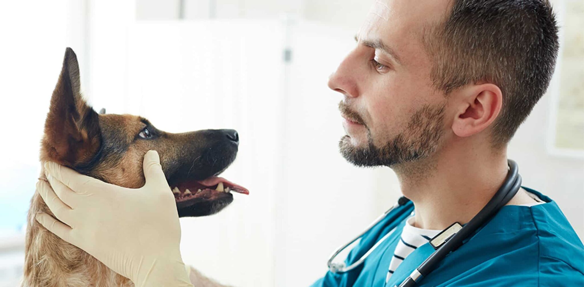 Affordable Vaccinations and Tests at Tractor Supply Pet Vet